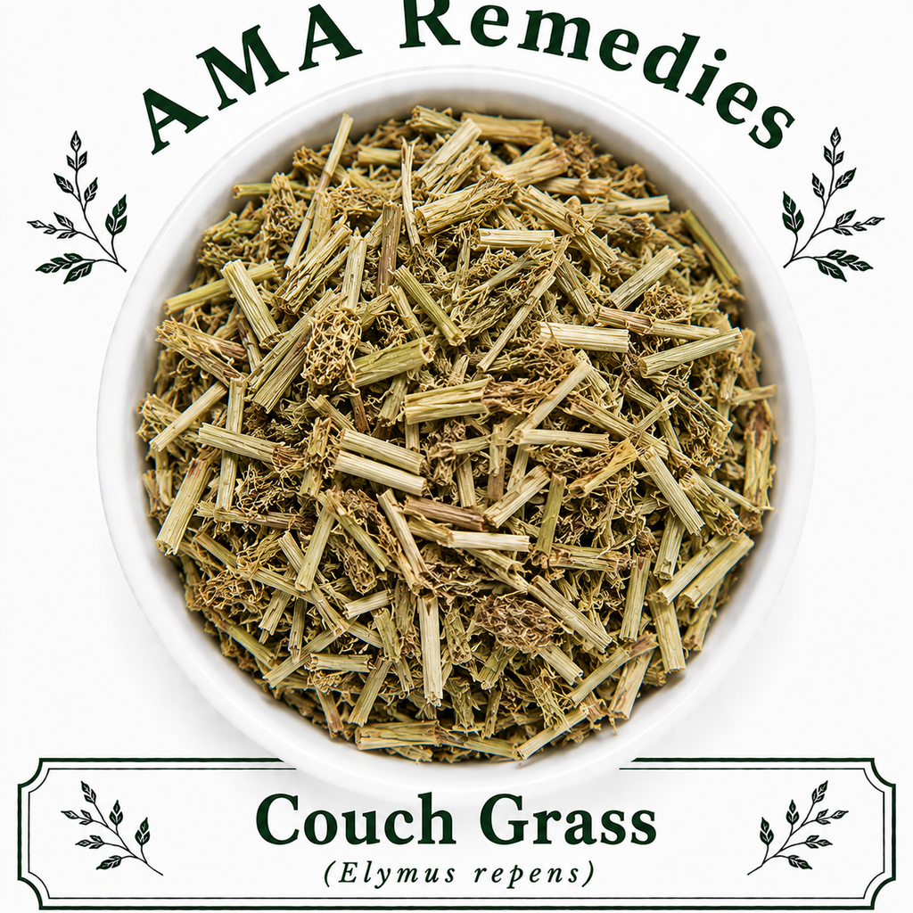 Couch Grass (Elymus repens)