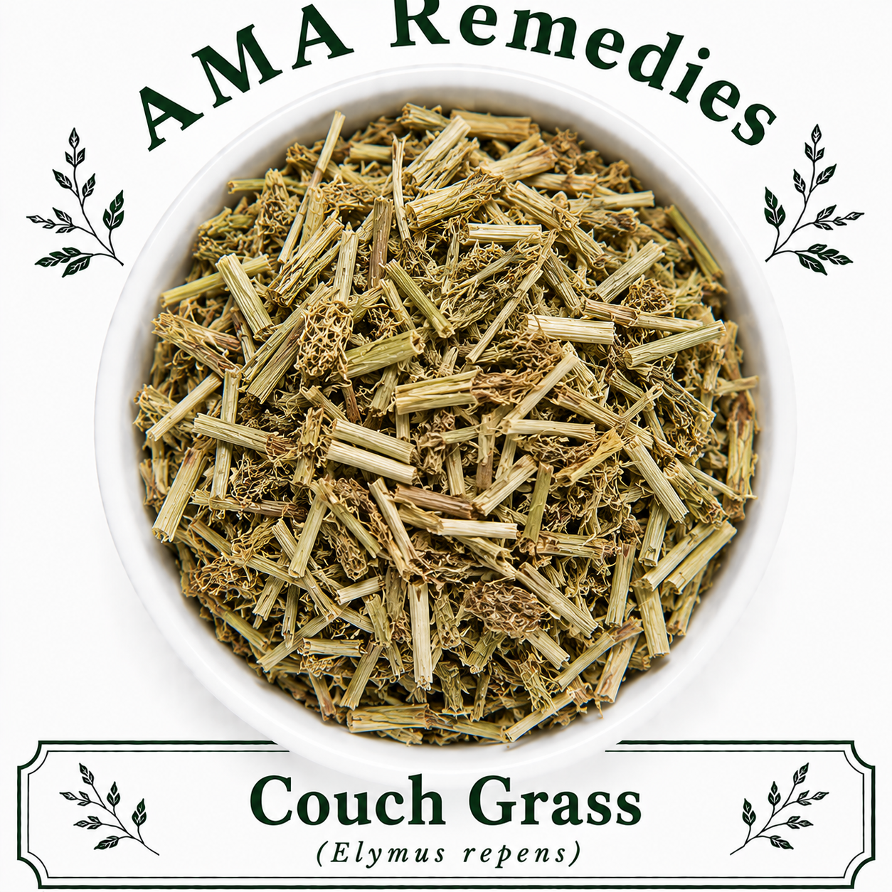 Couch Grass (Elymus repens)