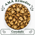 Corydalis (Corydalis yanhusuo)