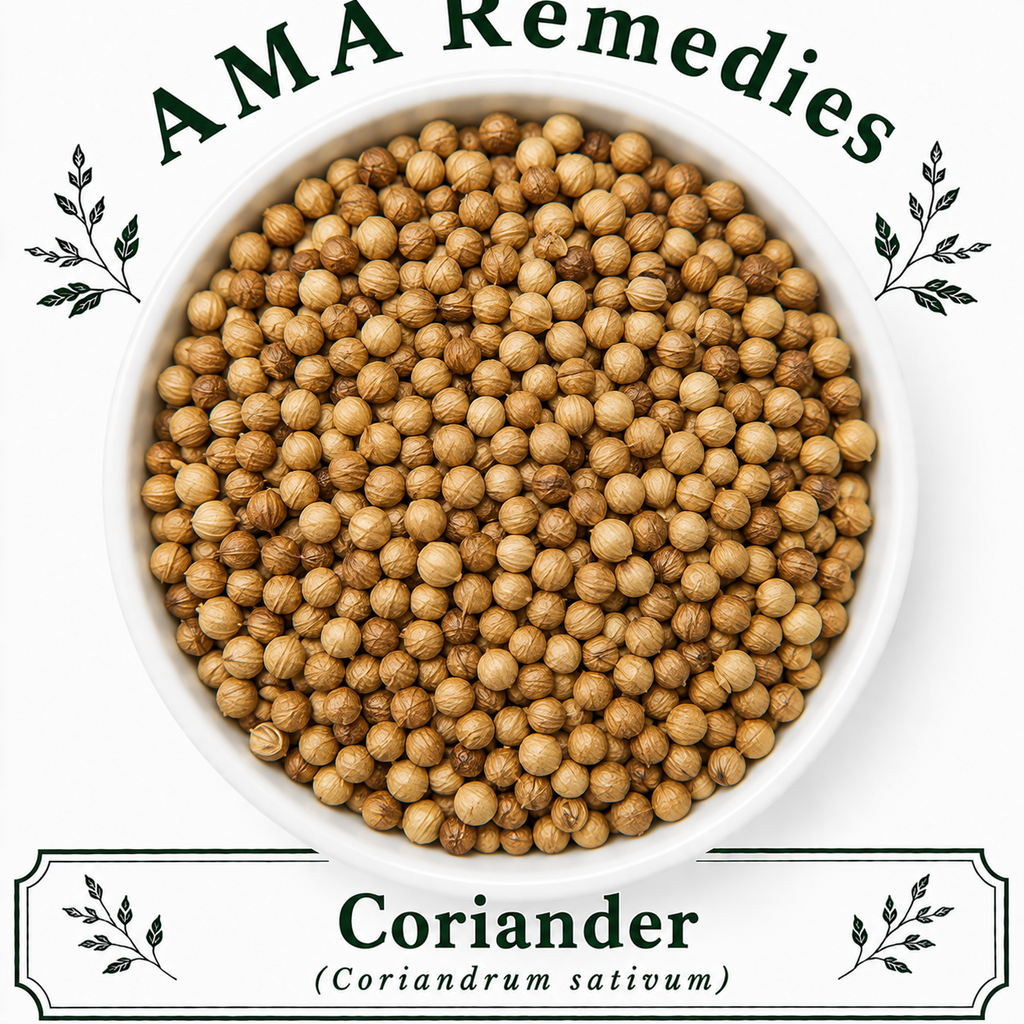 Coriander (Coriandrum sativum) — Dried Fruits (commonly called seeds)