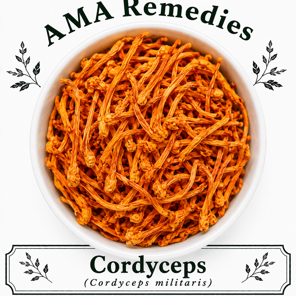 Cordyceps (Cordyceps militaris) — Dried Fungus