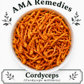 Cordyceps (Cordyceps militaris) — Dried Fungus