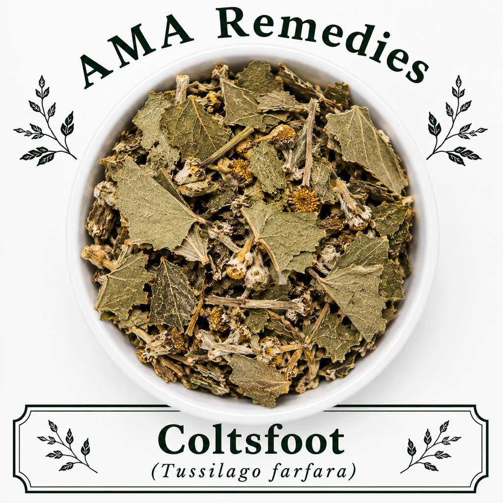 Coltsfoot (Tussilago farfara)