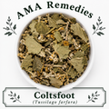Coltsfoot (Tussilago farfara)