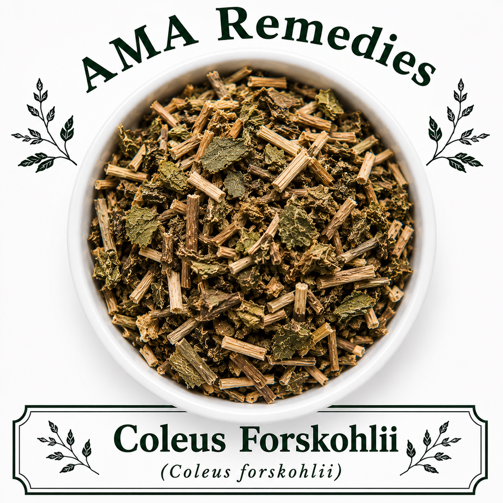 Coleus Forskohlii (Coleus forskohlii)