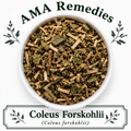 Coleus Forskohlii (Coleus forskohlii)