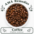 Coffee (Coffea arabica)
