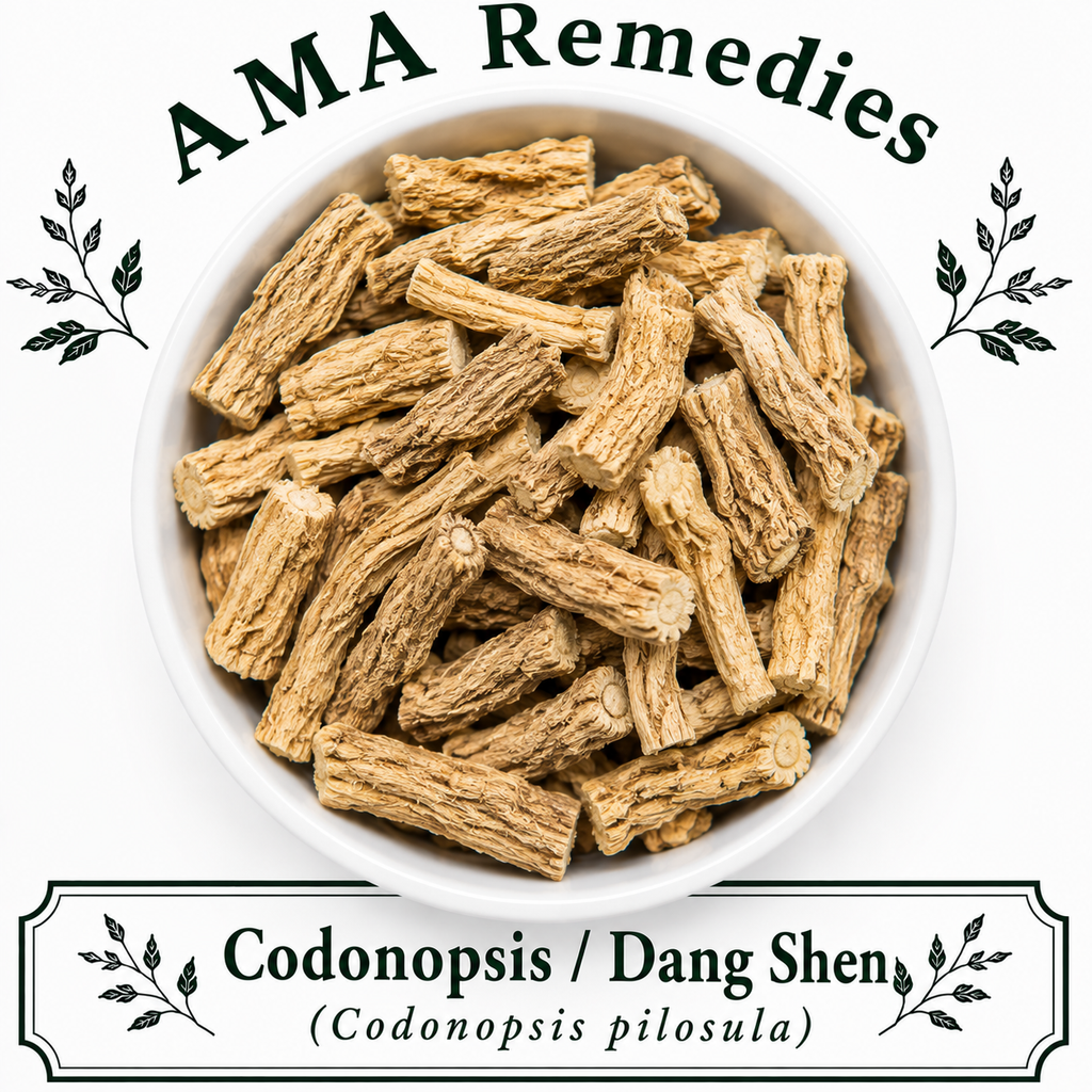 Codonopsis / Dang Shen (Codonopsis pilosula) — Dried Root