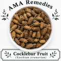 Cocklebur Fruit (Xanthium strumarium)