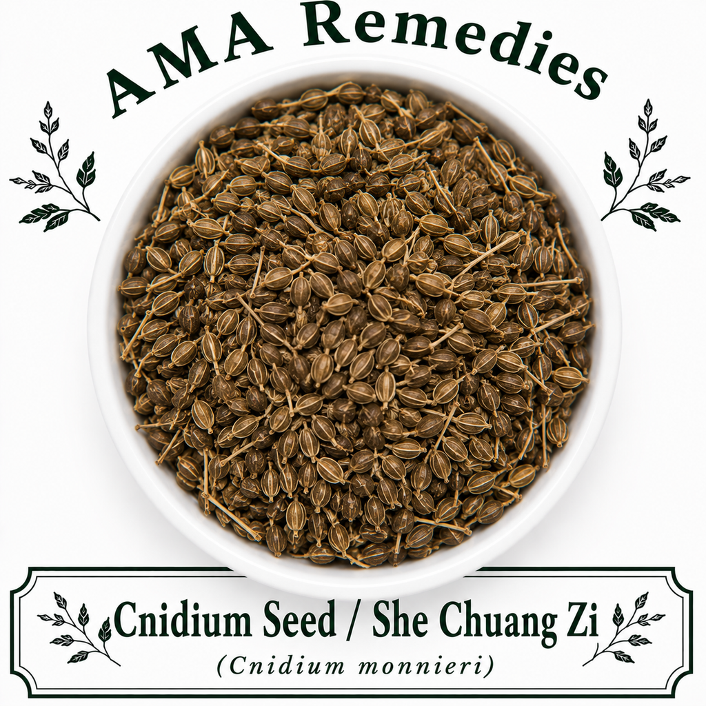 Cnidium Seed / She Chuang Zi (Cnidium monnieri)