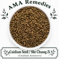 Cnidium Seed / She Chuang Zi (Cnidium monnieri)