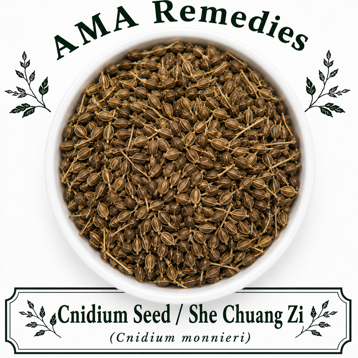 Cnidium Seed / She Chuang Zi (Cnidium monnieri)
