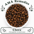 Clove (Syzygium aromaticum)