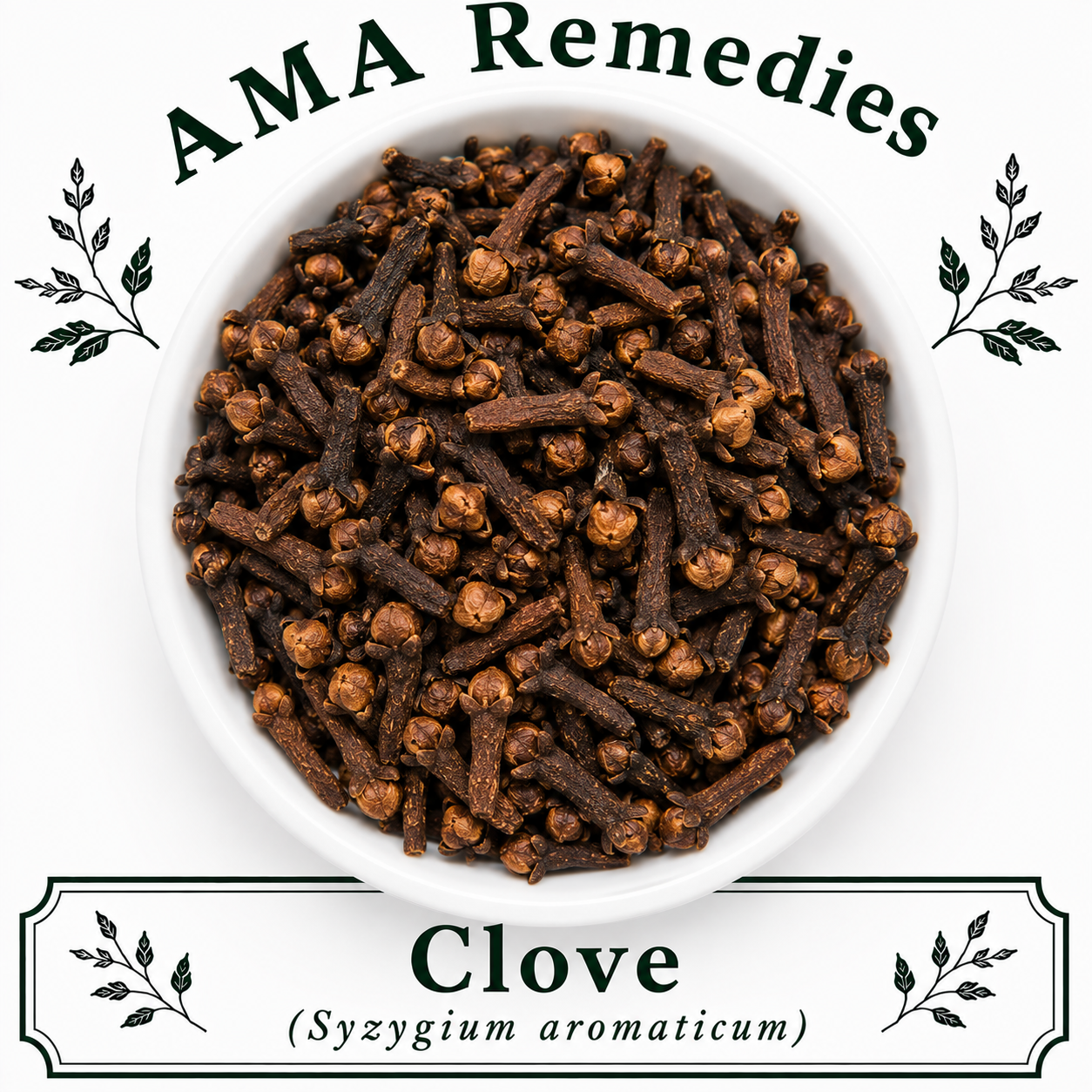 Clove (Syzygium aromaticum)