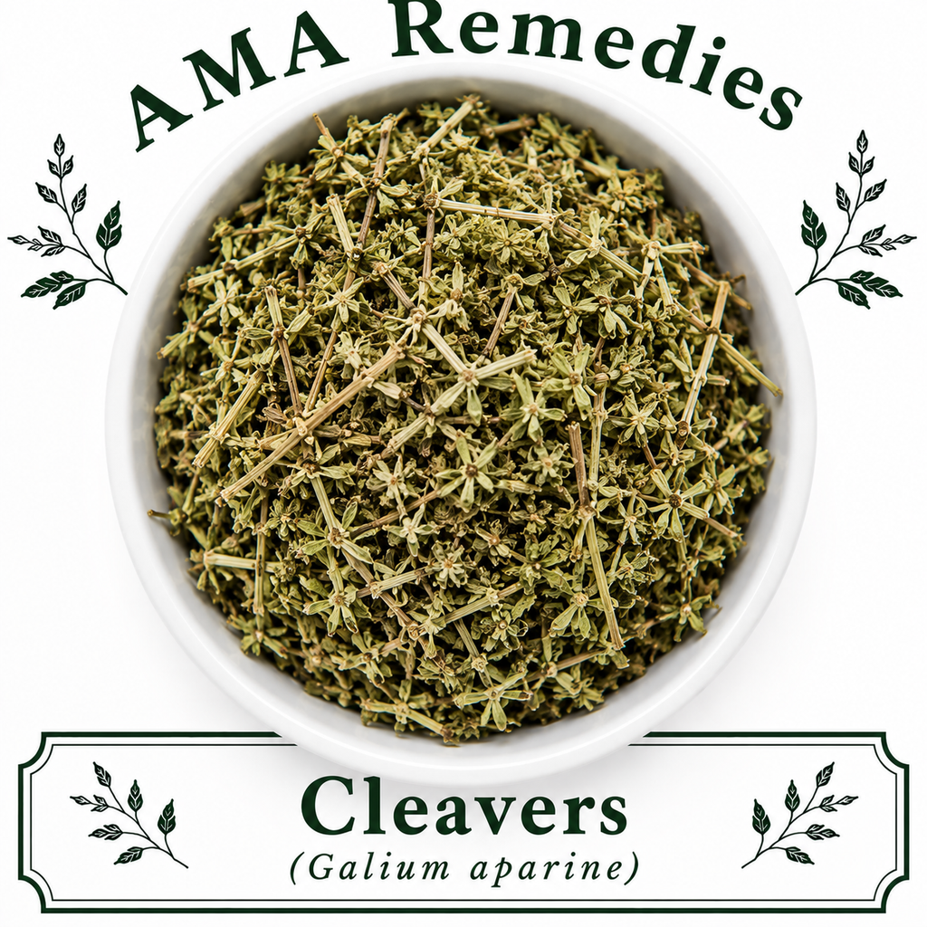 Cleavers (Galium aparine)