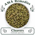 Cleavers (Galium aparine)