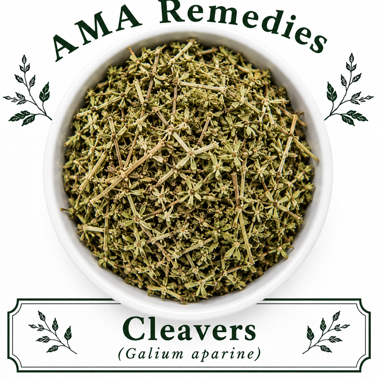 Cleavers (Galium aparine)