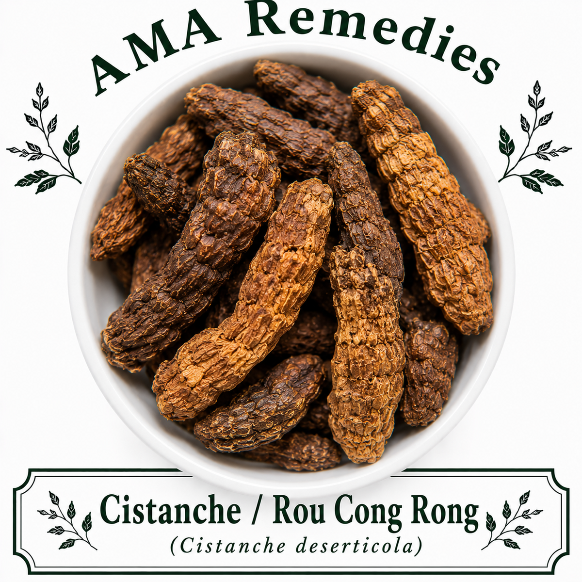 Cistanche / Rou Cong Rong (Cistanche deserticola)