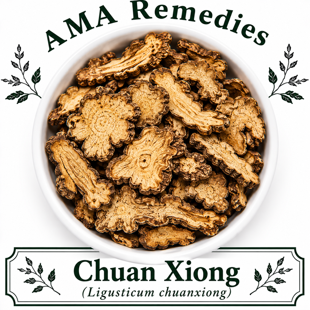 Chuan Xiong (Ligusticum chuanxiong)