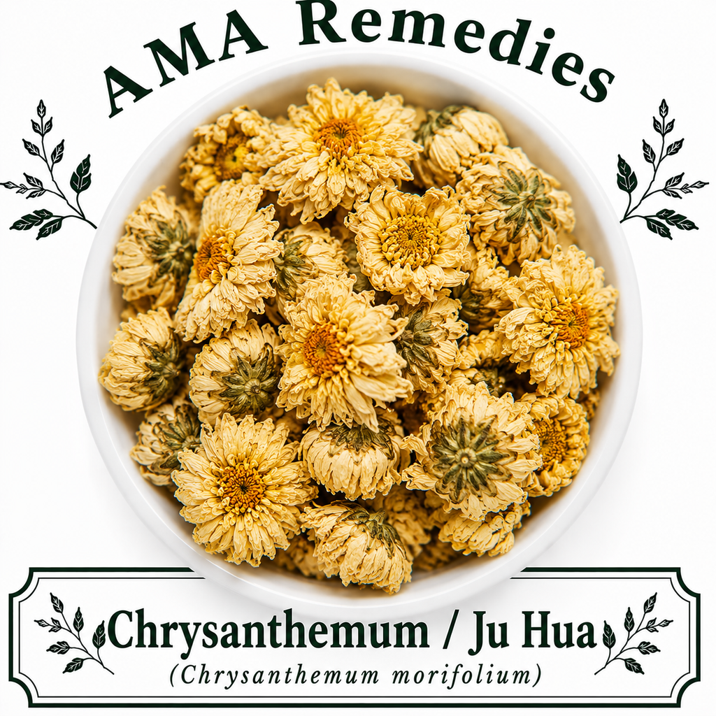 Chrysanthemum / Ju Hua (Chrysanthemum morifolium)