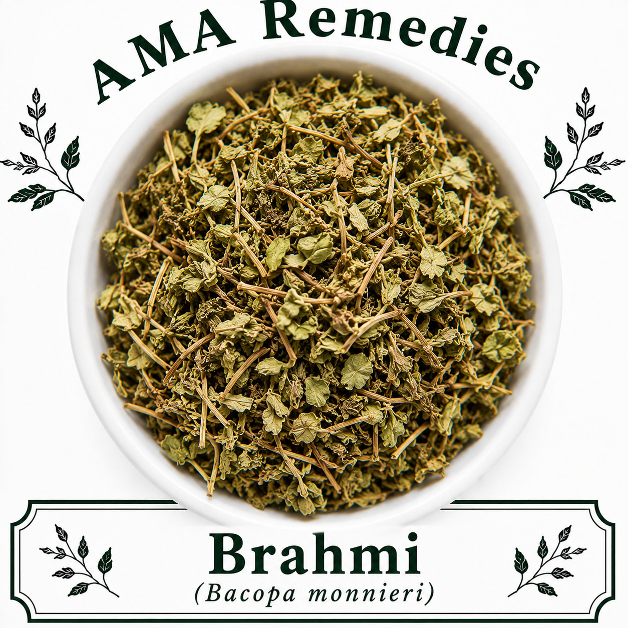Brahmi (Bacopa monnieri)