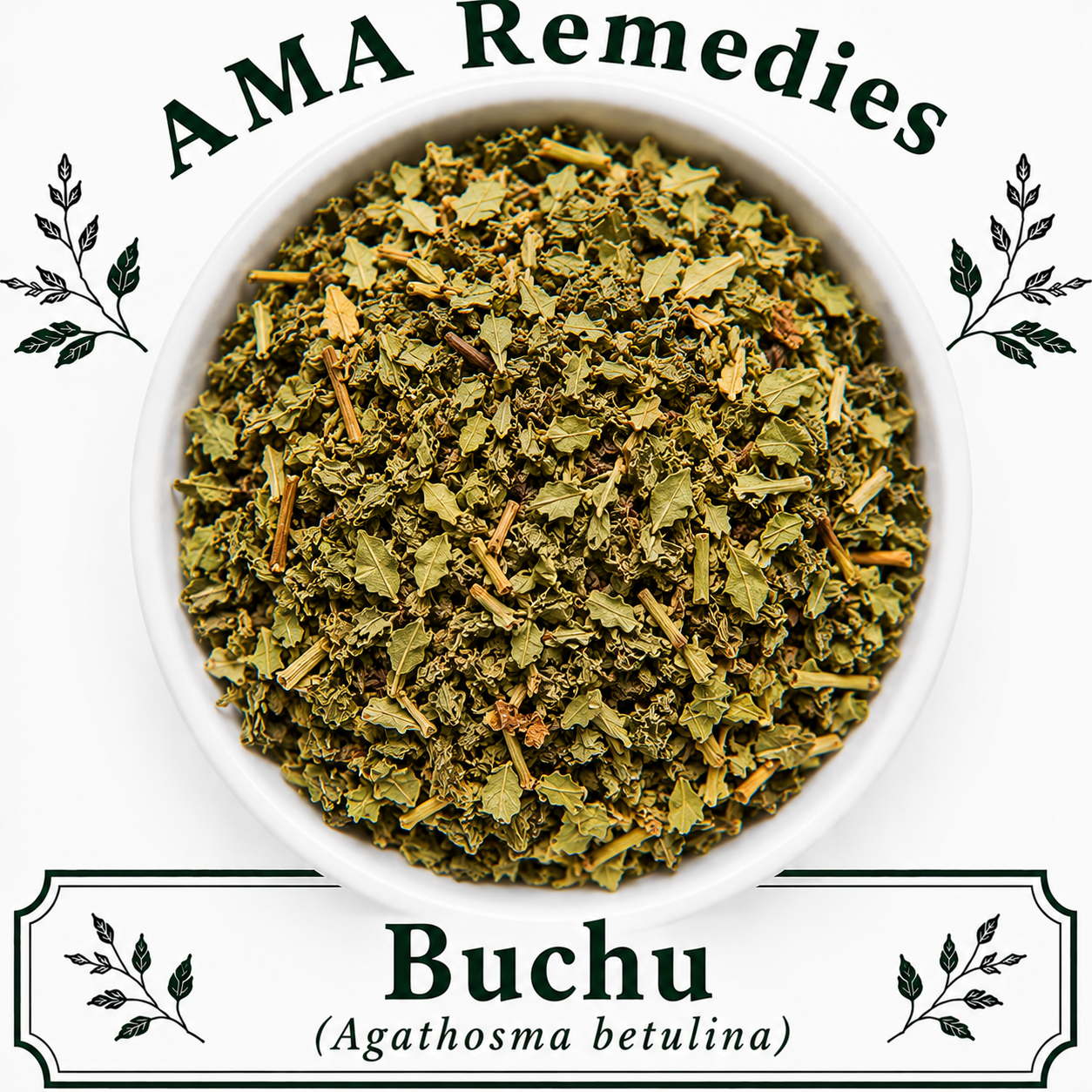 Buchu (Agathosma betulina)
