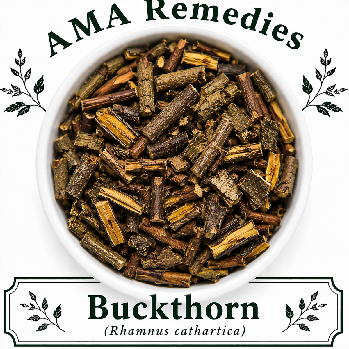 Buckthorn (Rhamnus cathartica)