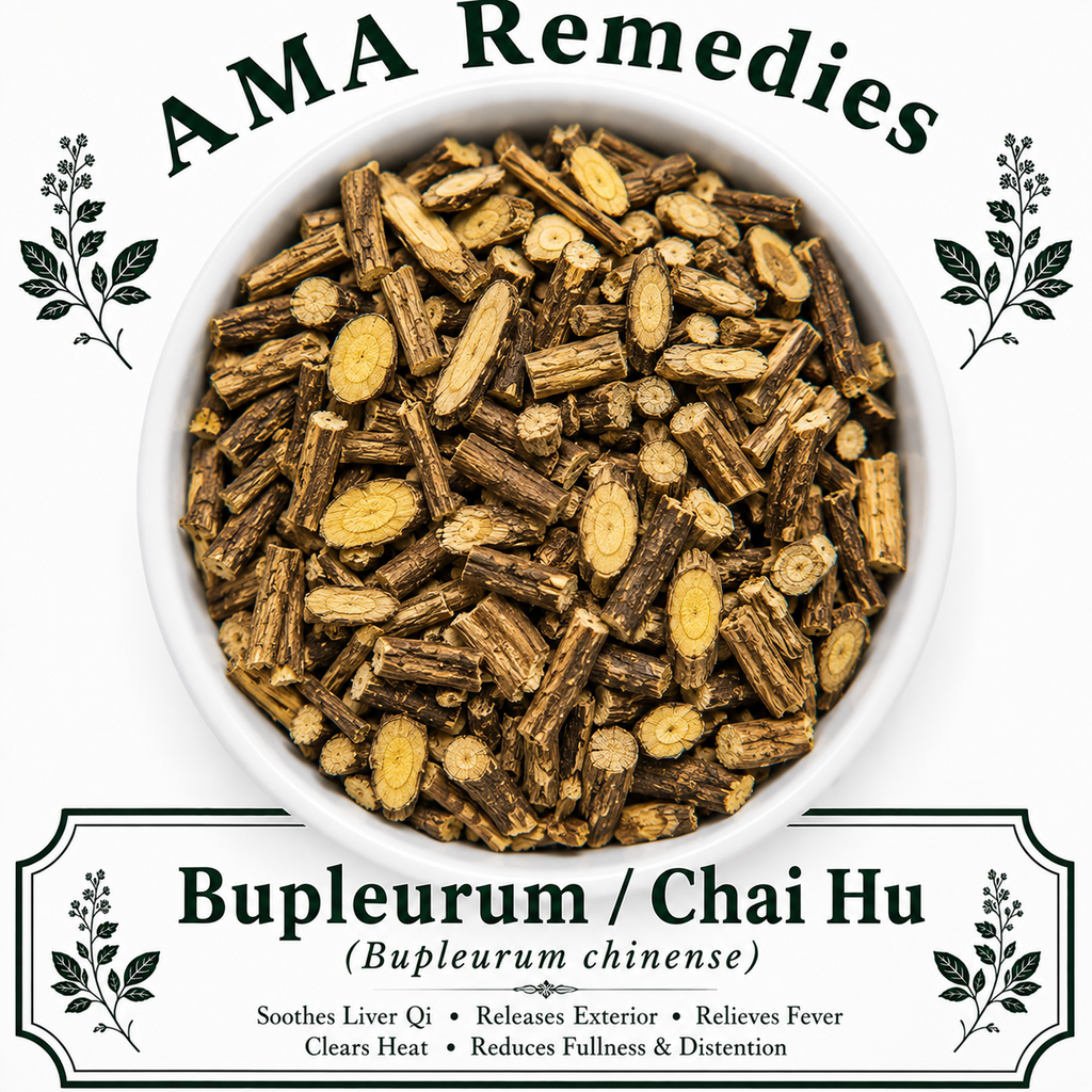 Bupleurum / Chai Hu (Bupleurum chinense)