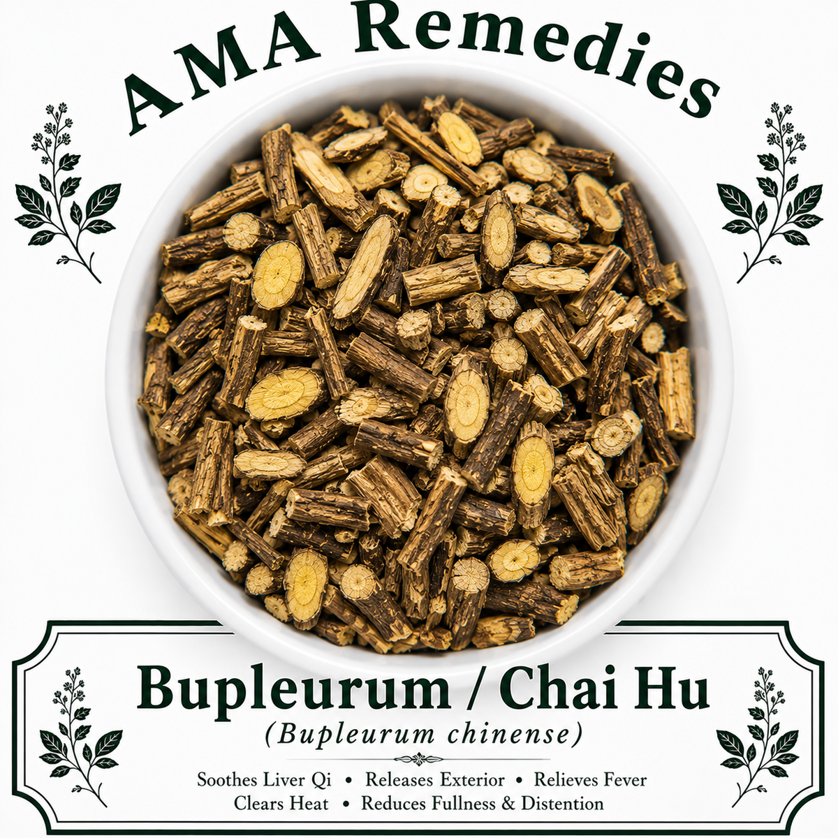 Bupleurum / Chai Hu (Bupleurum chinense)