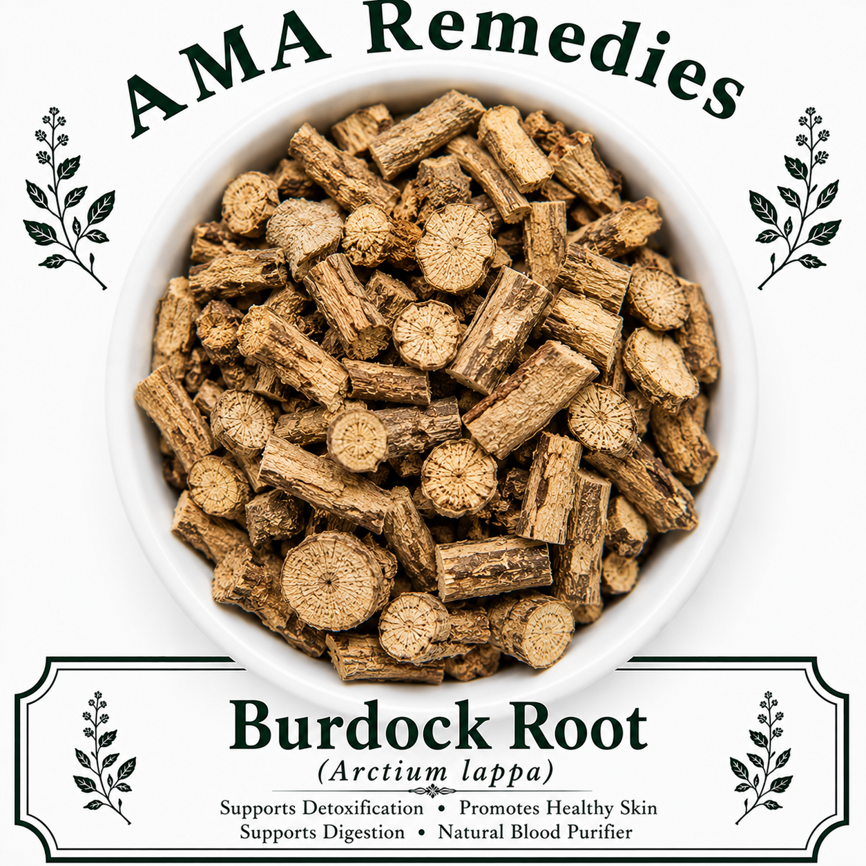 Burdock Root (Arctium lappa)
