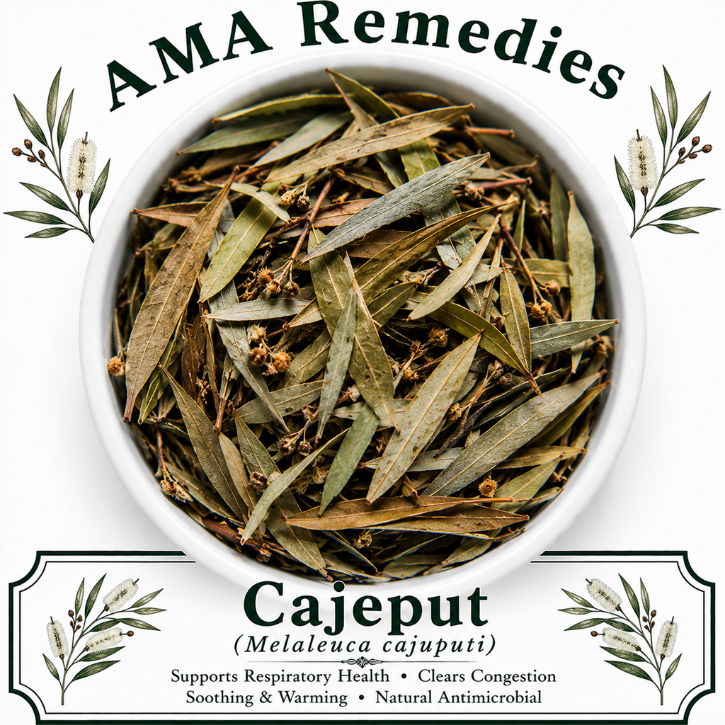 Cajeput (Melaleuca cajuputi)
