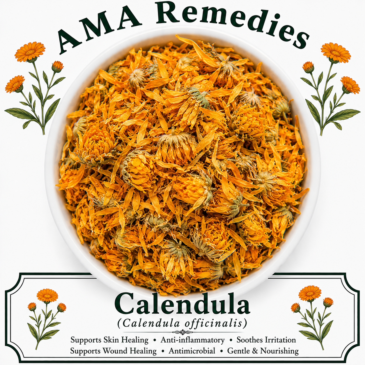 Calendula (Calendula officinalis)