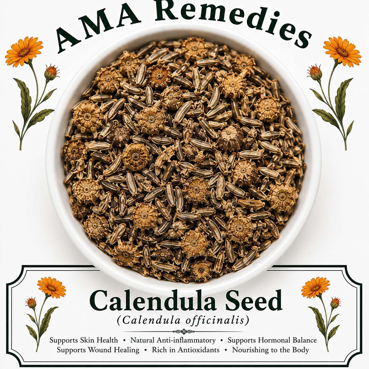Calendula Seed (Calendula officinalis)