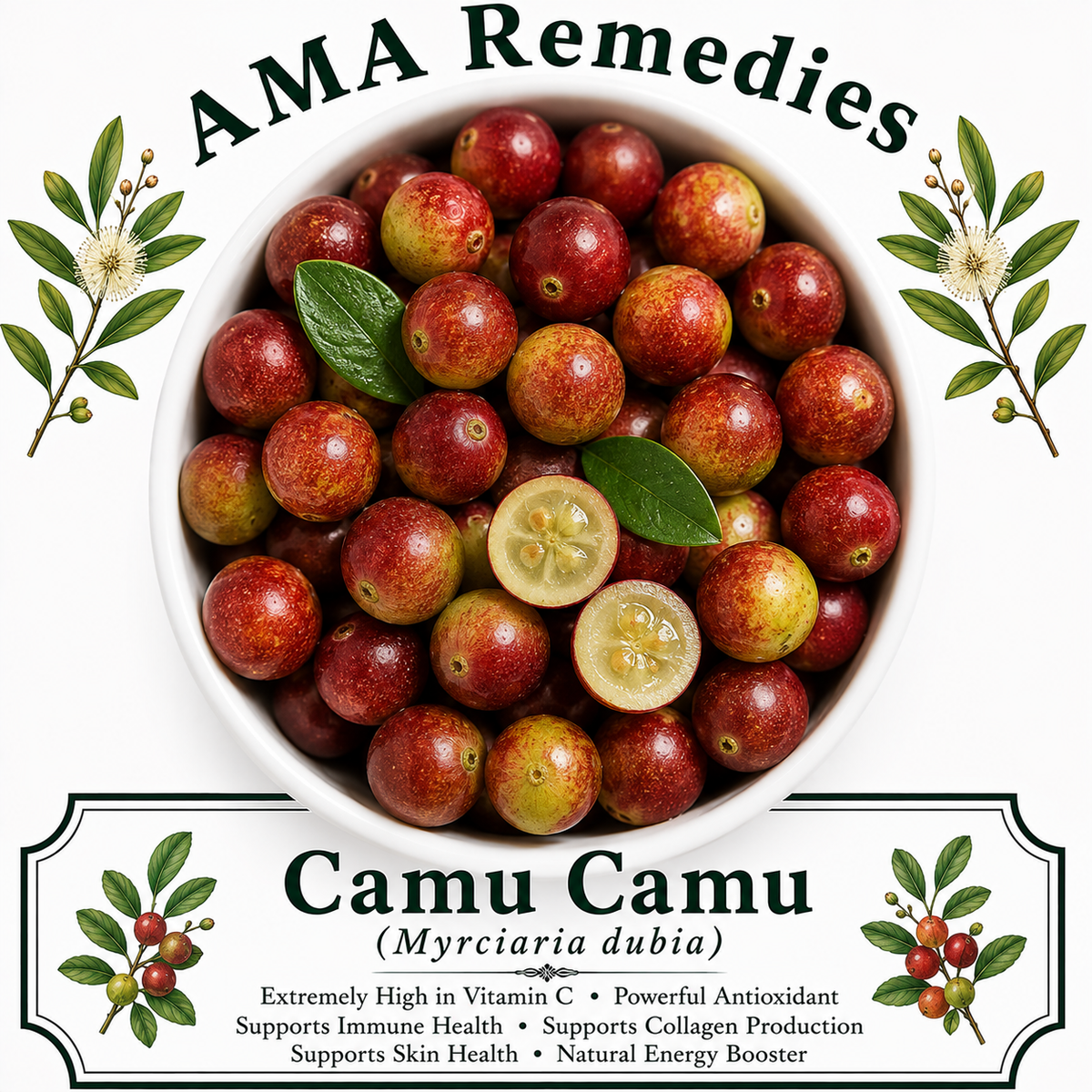 Camu Camu (Myrciaria dubia) — Dried Fruit