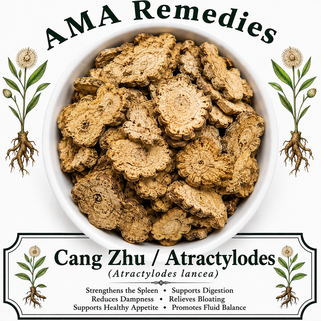 Cang Zhu / Atractylodes (Atractylodes lancea)