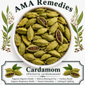 Cardamom (Elettaria cardamomum)