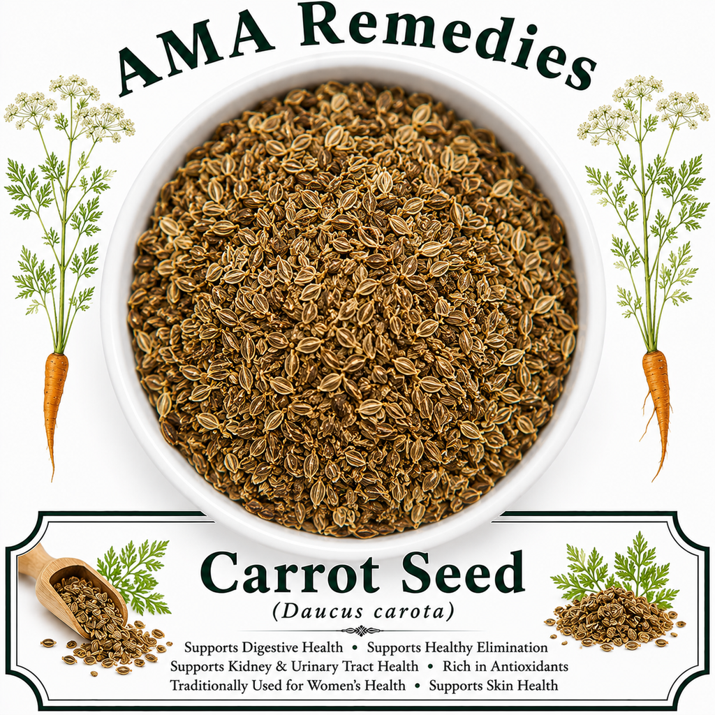 Carrot Seed (Daucus carota)