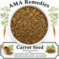Carrot Seed (Daucus carota)