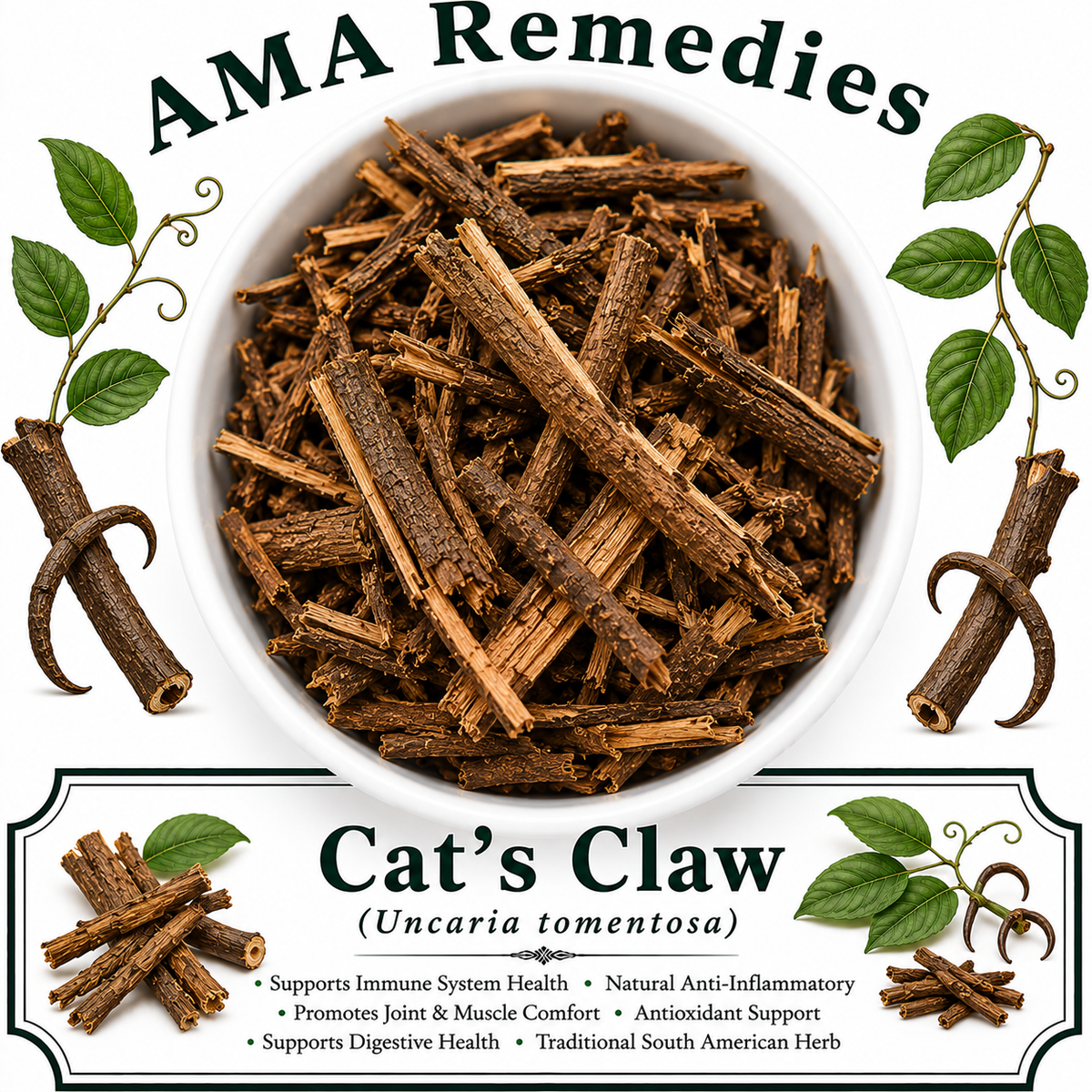 Cat's Claw (Uncaria tomentosa) — Dried Bark