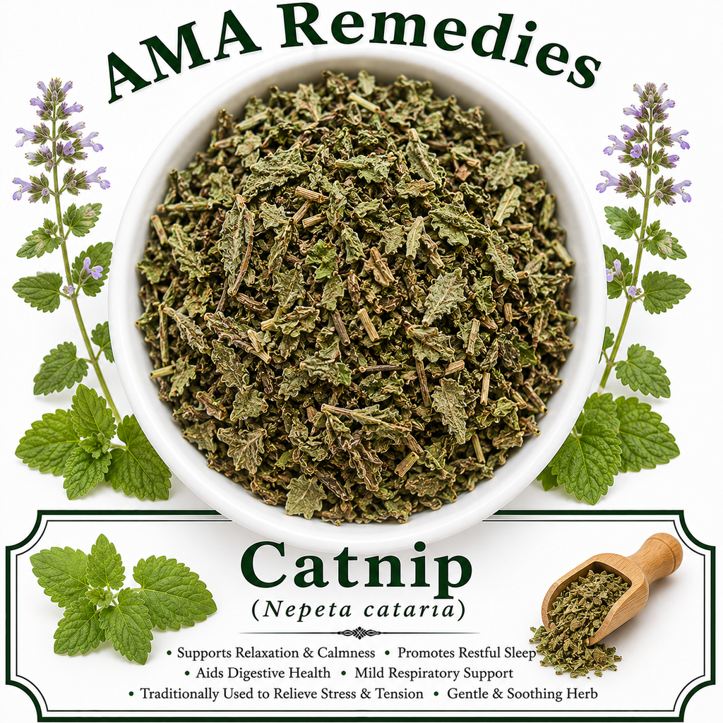 Catnip (Nepeta cataria)