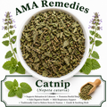 Catnip (Nepeta cataria)