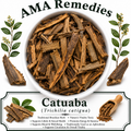 Catuaba (Trichilia catigua)