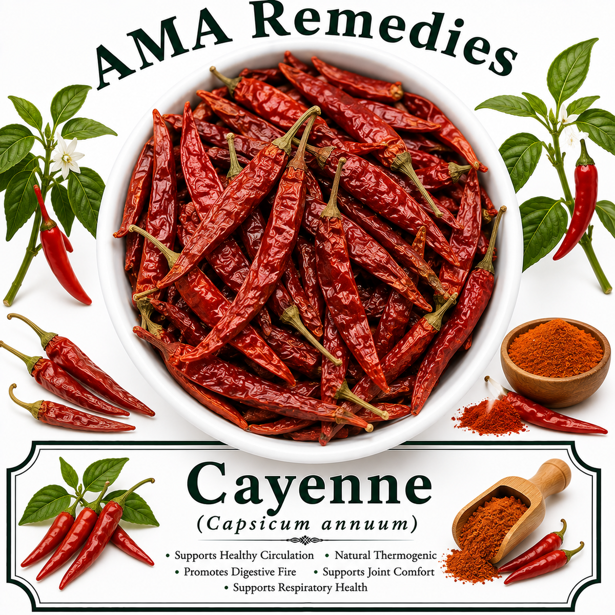 Cayenne (Capsicum annuum) — Dried Fruit