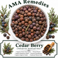 Cedar Berry (Juniperus monosperma)