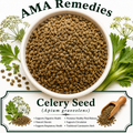 Celery Seed (Apium graveolens)