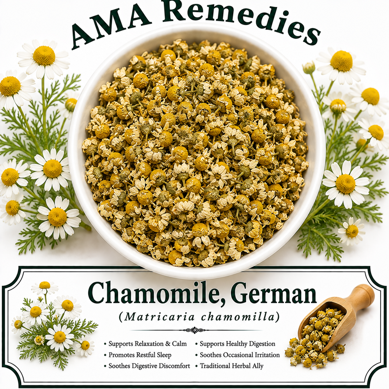 Chamomile, German (Matricaria chamomilla)