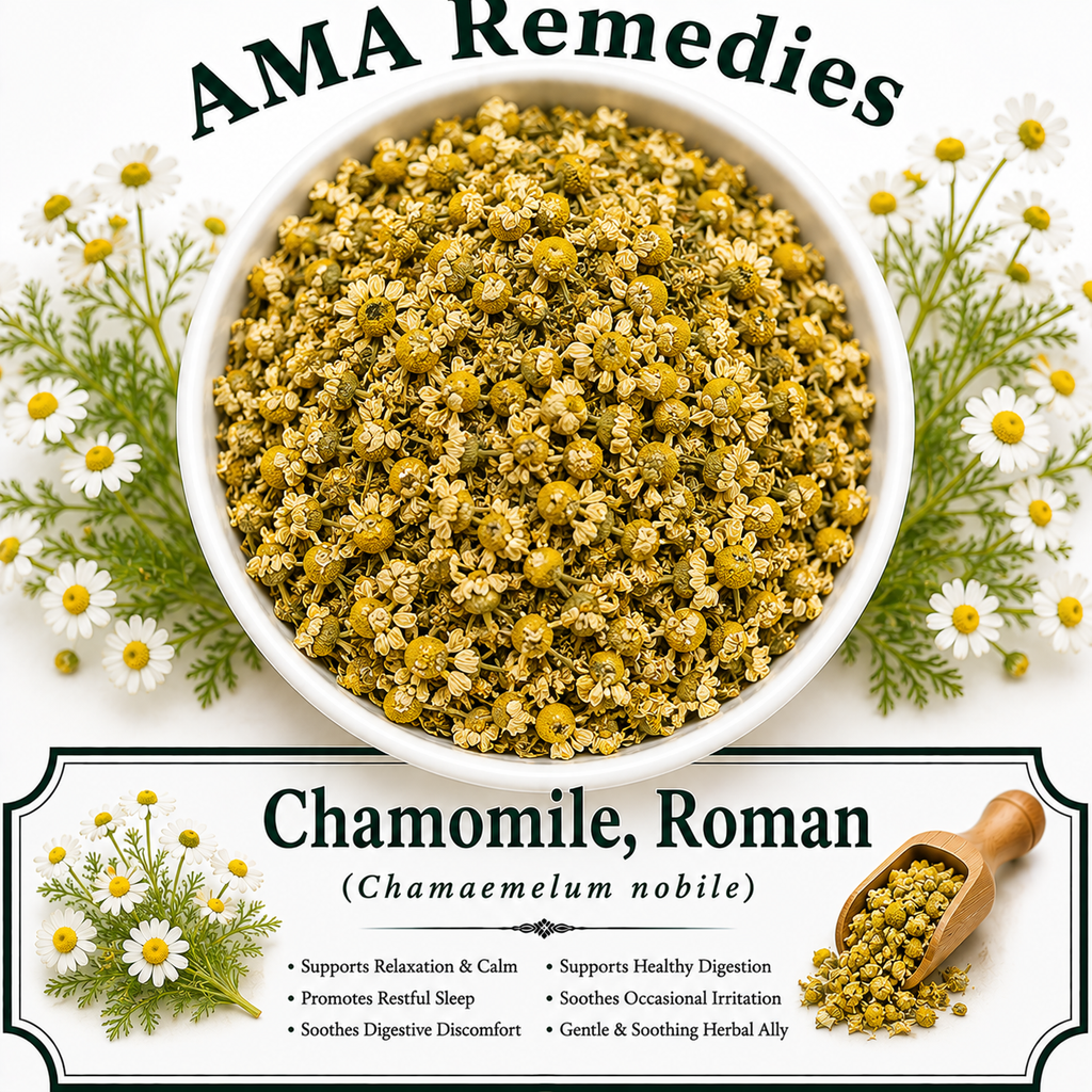 Chamomile, Roman (Chamaemelum nobile)
