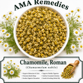 Chamomile, Roman (Chamaemelum nobile)