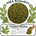 Chanca Piedra (Phyllanthus niruri) — Dried Herb