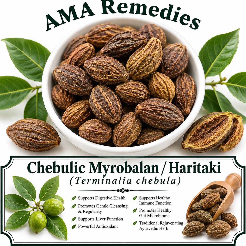 Chebulic Myrobalan / Haritaki (Terminalia chebula)